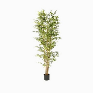 Бамбук 5 стволов Cosmo Bamboo NAL19-0470