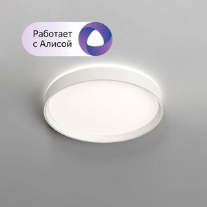 Потолочный светильник накладной диаметром 40 см круглый с пультом Denkirs Plato DK6510-WH (Умный дом, Алиса)