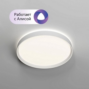 Потолочный светодиодный светильник круглый с пультом Denkirs Plato DK6511-WH (Умный дом, Алиса)