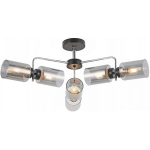 Потолочная люстра на штанге ILLUMICO IL8249-6COU-79 BK CR