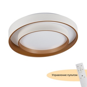 Потолочный светильник в современном стиле MyFar Rhea MR9161-CL
