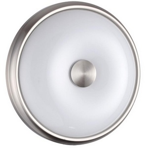 Настенно-потолочный светильник Odeon Light Pelow 4957/2