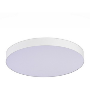 Потолочный светодиодный светильник круглый ST Luce ST606.532.96