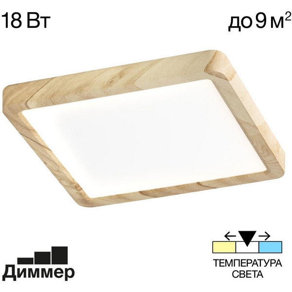 Настенно-потолочный светильник Citilux Бейсик CL738K182V  фото